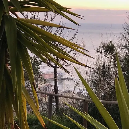 Bed & Breakfast Residenza Le Serre 3*